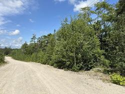 Lot 21 Highway 14 Sherwood, NS B0J 1J0