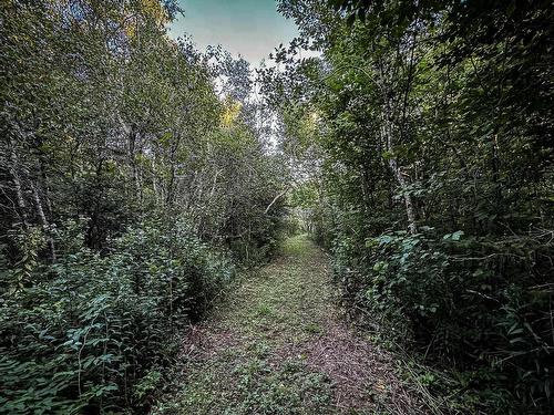 Lot 4 Outram Road, Outram, NS 