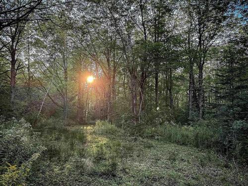 Lot 4 Outram Road, Outram, NS 