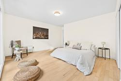 Chambre à coucher principale - 