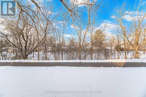 1241 Bray Court, Mississauga, ON - Outdoor With View