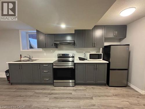 Kitchen featuring appliances with stainless steel finishes, gray cabinetry, light countertops, and light wood-style flooring - 509 St Moritz Avenue Unit# Lower, Waterloo, ON - Indoor Photo Showing Kitchen With Double Sink