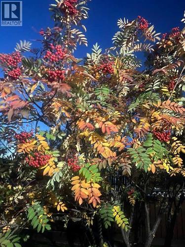 4516 45 Street, Rycroft, AB - Outdoor