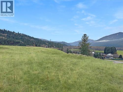 Lot 14 Thomet Avenue, Midway, BC 
