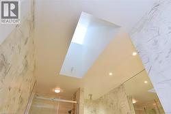 Serene Skylight - 