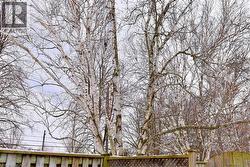 Lots of privacy in summer - 