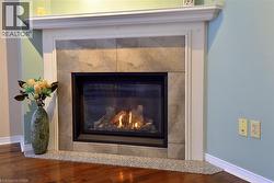 Elegant Gas Fireplace - 