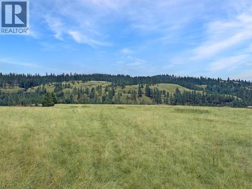 Lot 11 Thomet Avenue, Midway, BC 