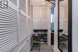 Walk through closet - 