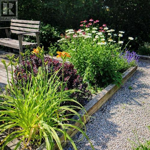 77 King George Street, Ottawa, ON - Outdoor