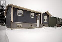 54 Raynham Street  Gander, NL A1V 2N2