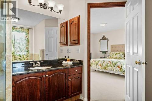 63 Douglas Park Boulevard Se, Calgary, AB - Indoor Photo Showing Bathroom