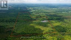 N/A SUNNY VALLEY ROAD  Meaford, ON N4K 5N8