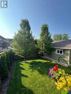 Private Back yard in summer - 