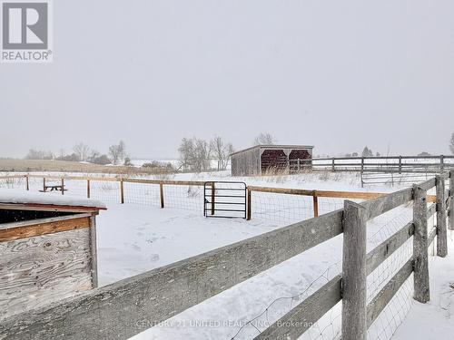 1074 First Line, Douro-Dummer, ON - Outdoor