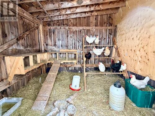 1074 First Line, Douro-Dummer, ON - Indoor