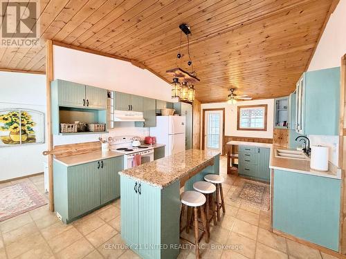 1074 First Line, Douro-Dummer, ON - Indoor Photo Showing Kitchen