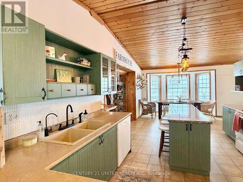 1074 First Line, Douro-Dummer, ON - Indoor Photo Showing Kitchen With Double Sink