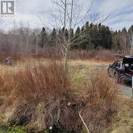 229 Main Street N  Glovertown, NL A0G 2L0