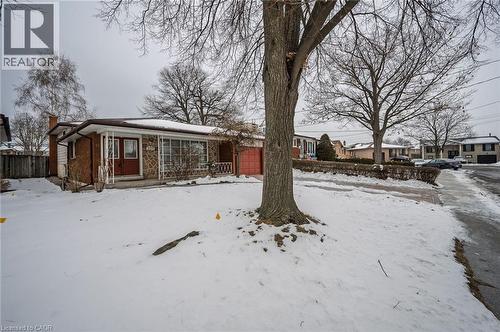 11 Crystal Court, Hamilton, ON - Outdoor