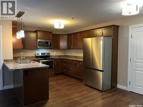 324 3630 Haughton Road, Regina, SK - Indoor Photo Showing Kitchen With Stainless Steel Kitchen With Double Sink