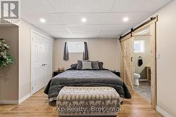 Primary Bedroom (Lower Level) - 