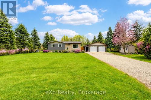 230 SAUGEEN STREET  Grey Highlands, ON N0C 1K0