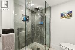 Lower level gorgeous 3 pce bathroom with large walk in shower - 