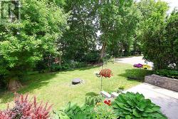 Backyard - 