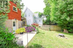 Backyard - 