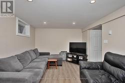 Lower Unit - Living Room - 