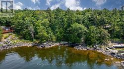 471 NORTH SHORE RD  Georgian Bay (Baxter), ON L0K 1S0