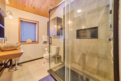 Salle de bains - 472 Ch. Champigny, Larouche, QC - Indoor Photo Showing Bathroom
