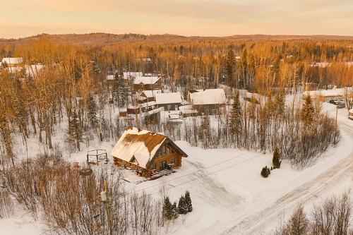 Photo aérienne - 472 Ch. Champigny, Larouche, QC -  With View