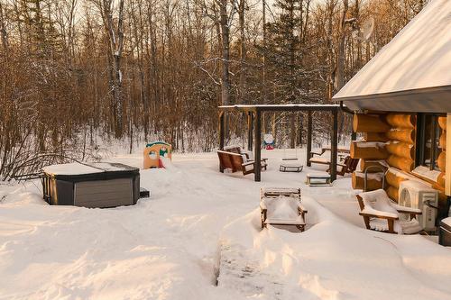 Cour - 472 Ch. Champigny, Larouche, QC - Outdoor