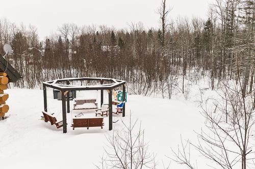 Cour - 472 Ch. Champigny, Larouche, QC - Outdoor