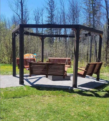 Cour - 472 Ch. Champigny, Larouche, QC - Outdoor