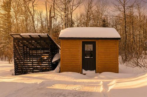 Remise - 472 Ch. Champigny, Larouche, QC - Outdoor