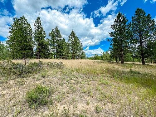 337 Corral Close, Cranbrook, BC - Outdoor With View