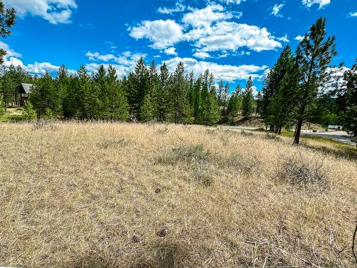 337 Corral Close, Cranbrook, BC - Outdoor With View