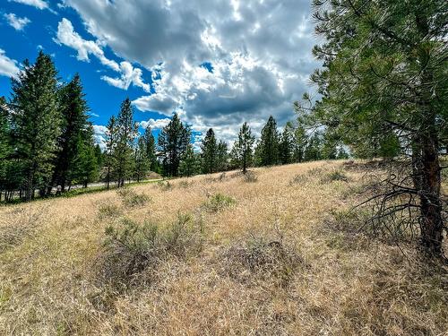 337 Corral Close, Cranbrook, BC - Outdoor With View