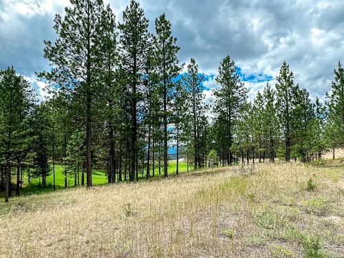 337 Corral Close, Cranbrook, BC - Outdoor