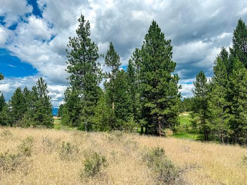 337 Corral Close, Cranbrook, BC - Outdoor With View