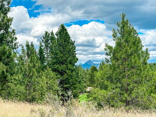 337 Corral Close, Cranbrook, BC - Outdoor With View