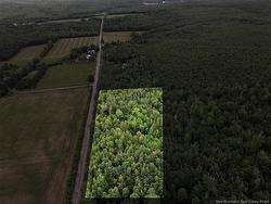 Lot Davis RD  Colpitts Settlement, NB E4J 1B8