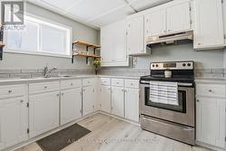 Lower Level Kitchen - 