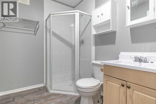 263 Upland Avenue, Brooks, AB - Indoor Photo Showing Bathroom