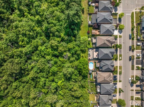 704 Robert Ferrie Drive, Kitchener, ON - Outdoor With View