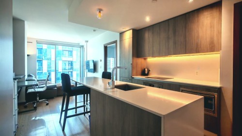 Cuisine - 2707-1450 Boul. René-Lévesque O., Montréal (Ville-Marie), QC - Indoor Photo Showing Kitchen