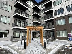 1509, 395 Skyview Parkway NE  Calgary, AB T3N 2K1